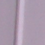 Pedro's User Image