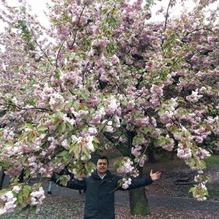 Avinash's User Image