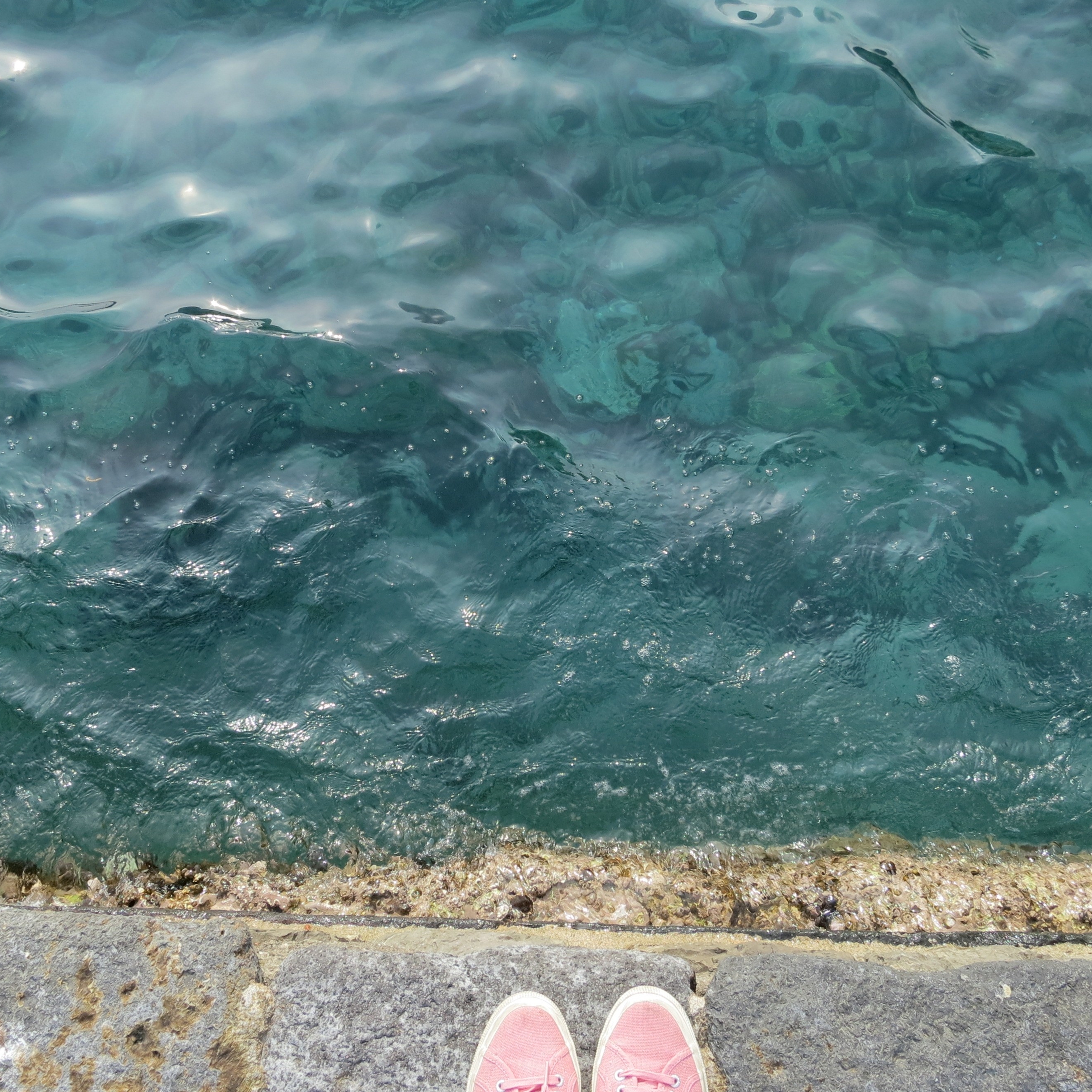 JENNIFER's User Image