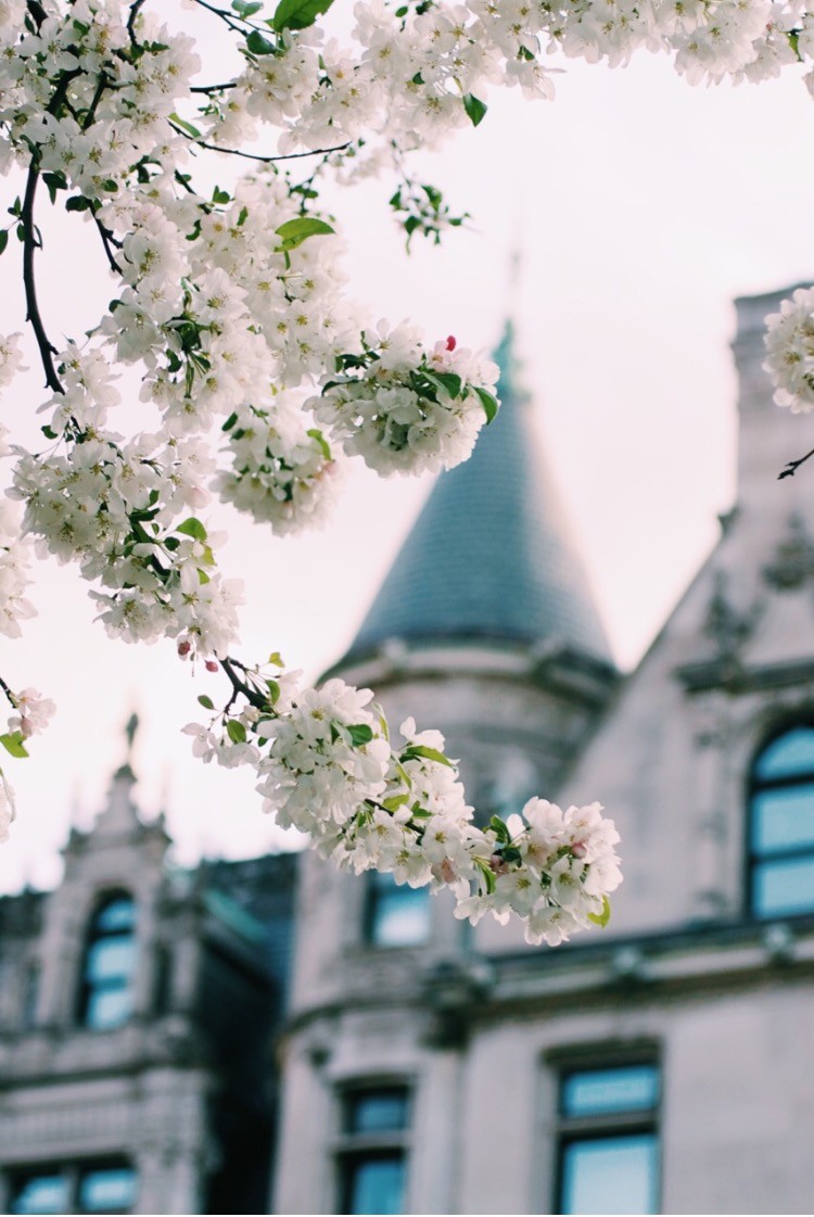 Jessica's User Image