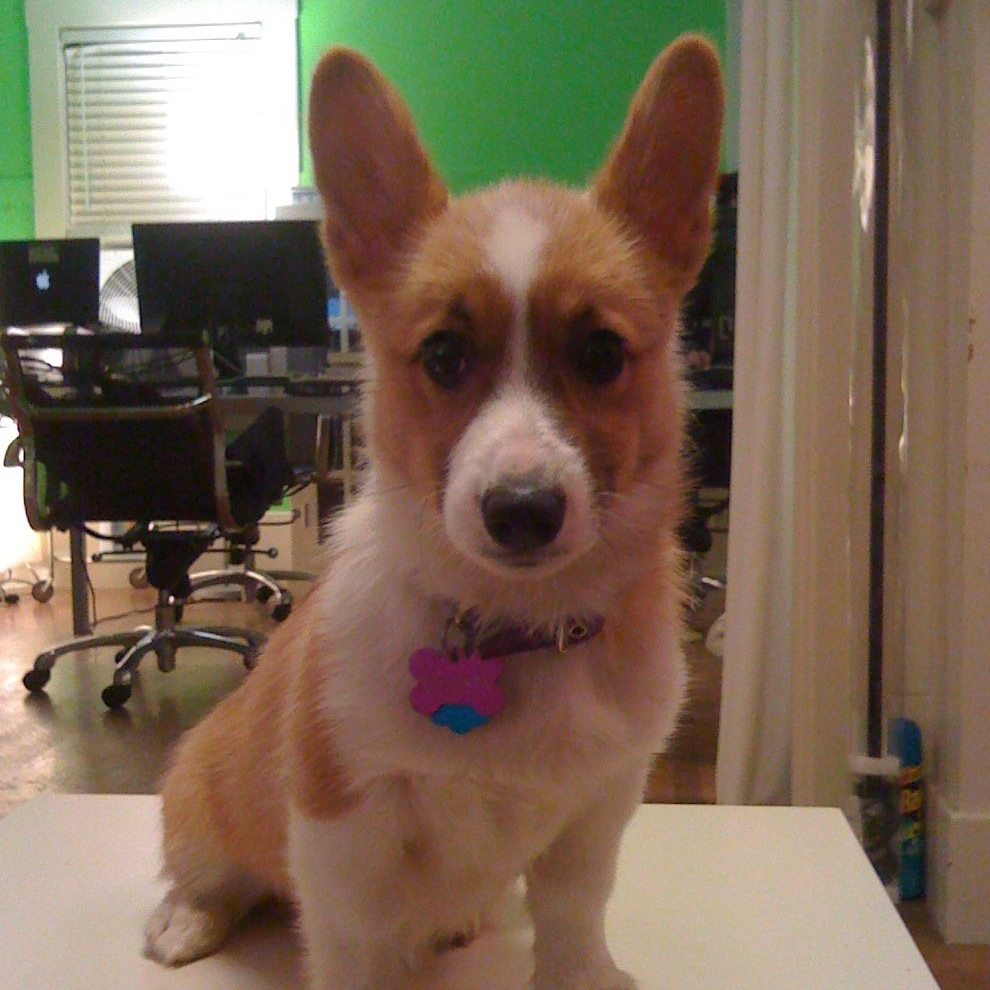 Suzanne's User Image