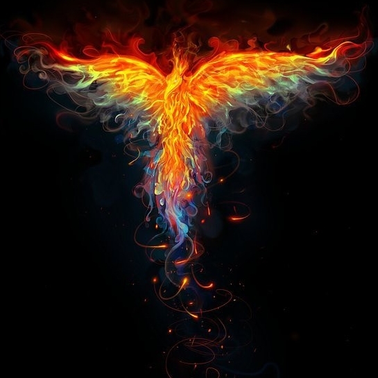 Gary Cardot's User Image