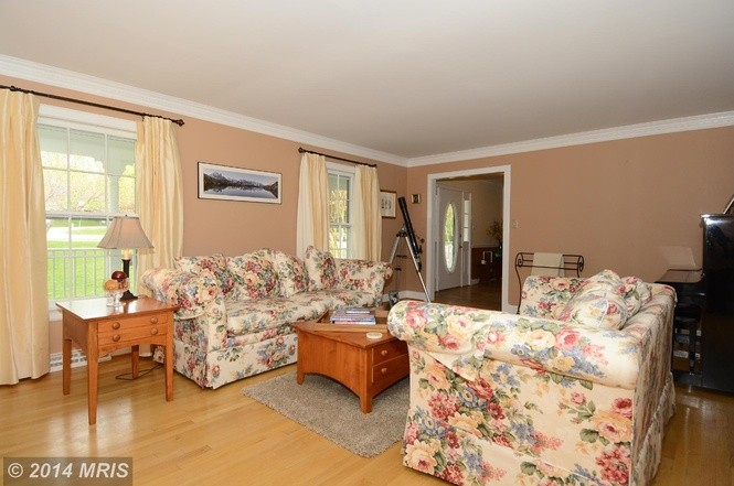 Dominique's User Image