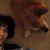 Julie's User Image